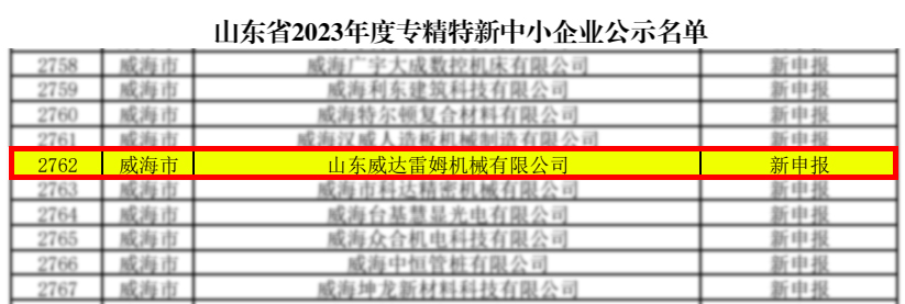 雷姆-專精特新
